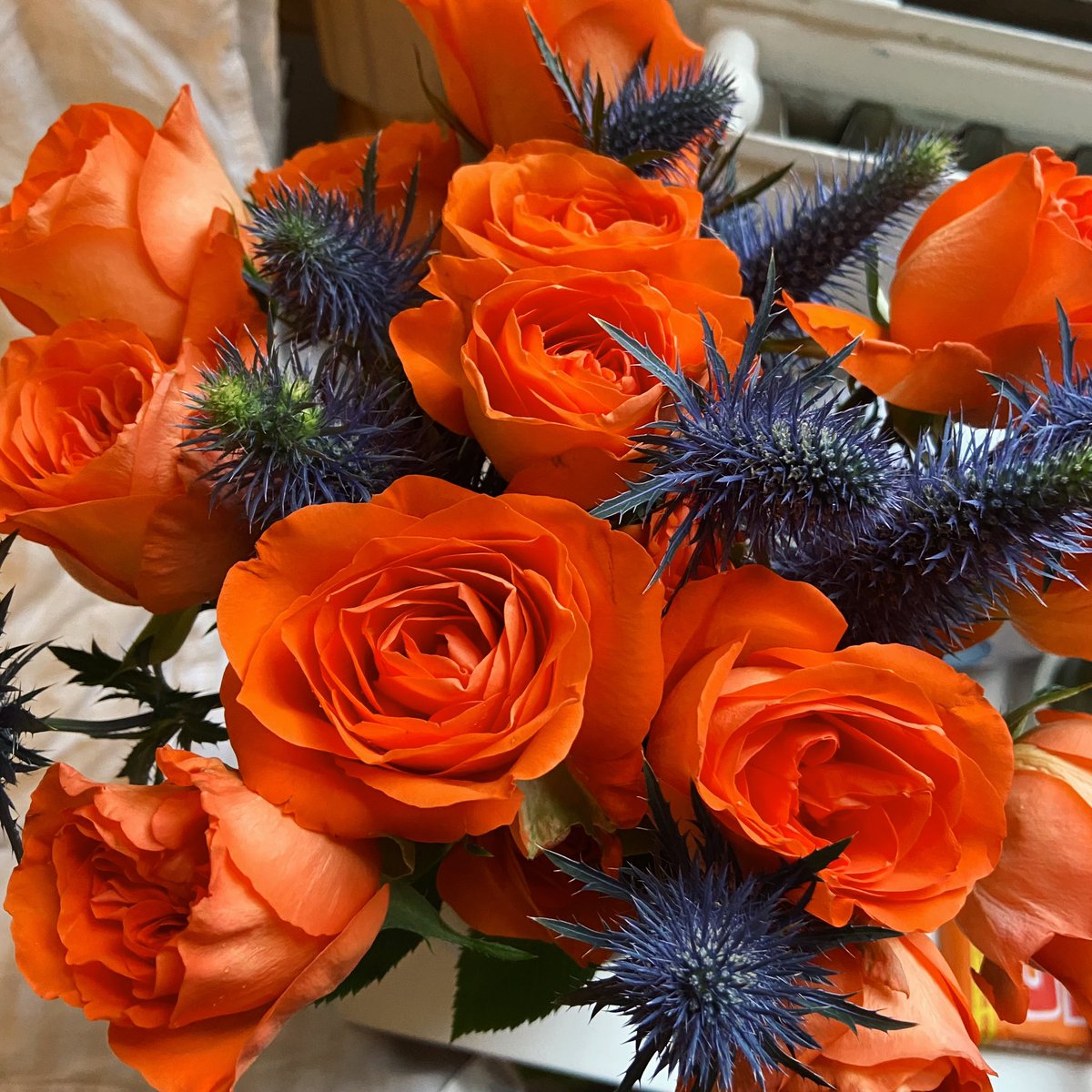 Bought some blooms to celebrate Abbi’s 29th birthday. A real contender for the most joyful, sunshine person to exist. We all miss her so so much, but we remember her everyday. Happy birthday pal, we absolutely adore you 💛💛💛💛