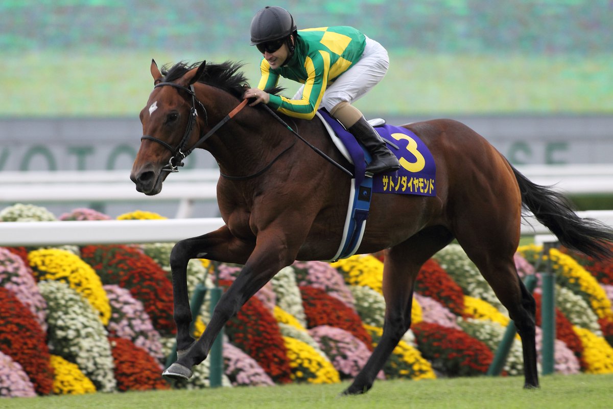 今日は牡馬クラシック戦線の最終戦、#菊花賞 。 '15年は #キタサン