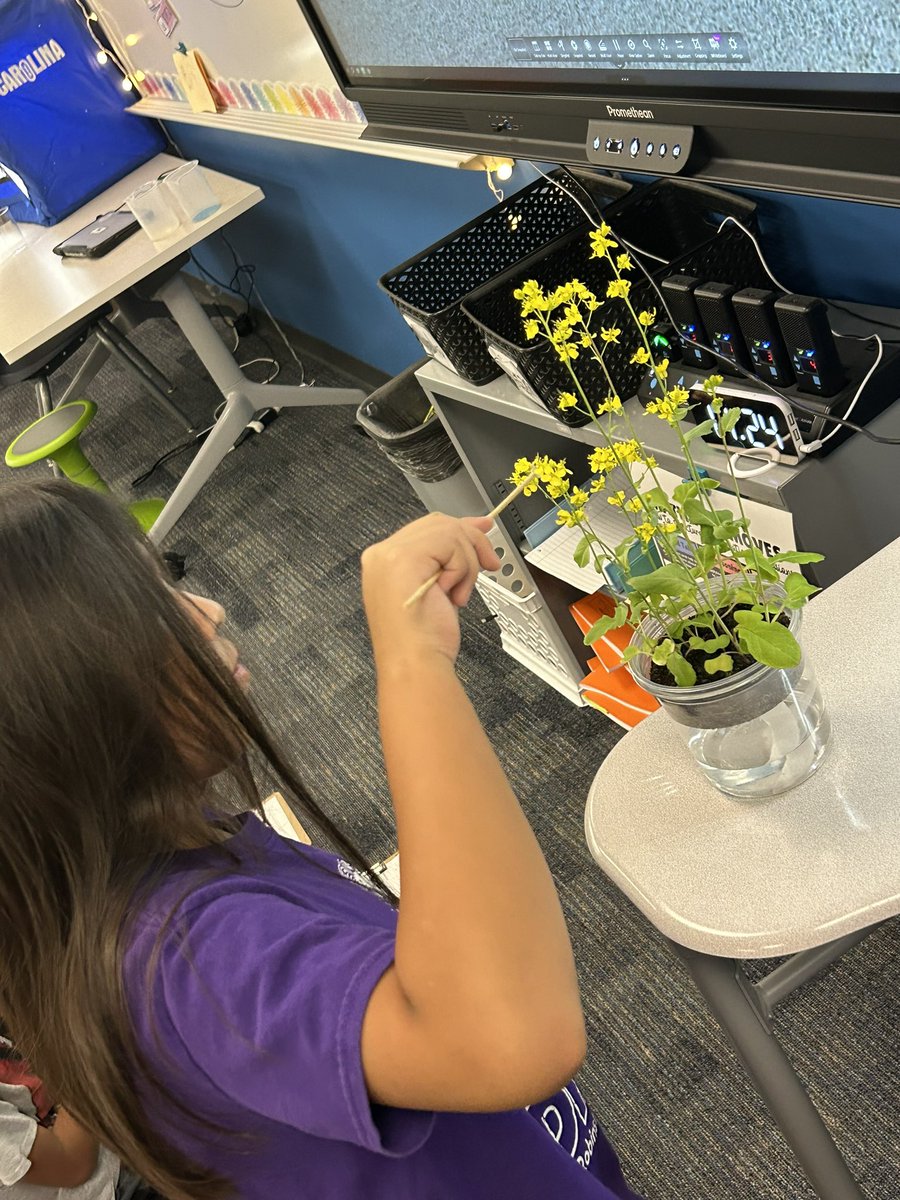 Ms. Cronin tweet media