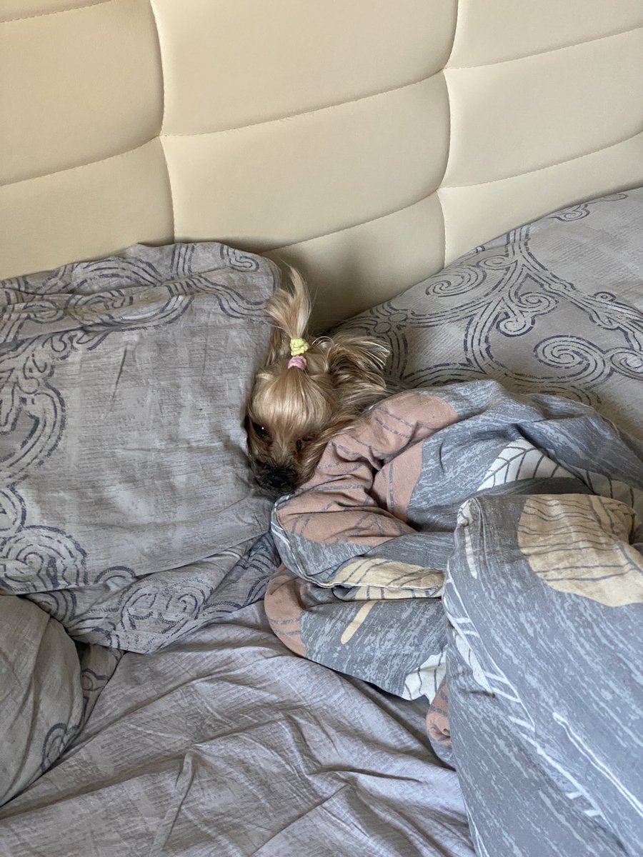 Вот эту таракашку люблю пиздец