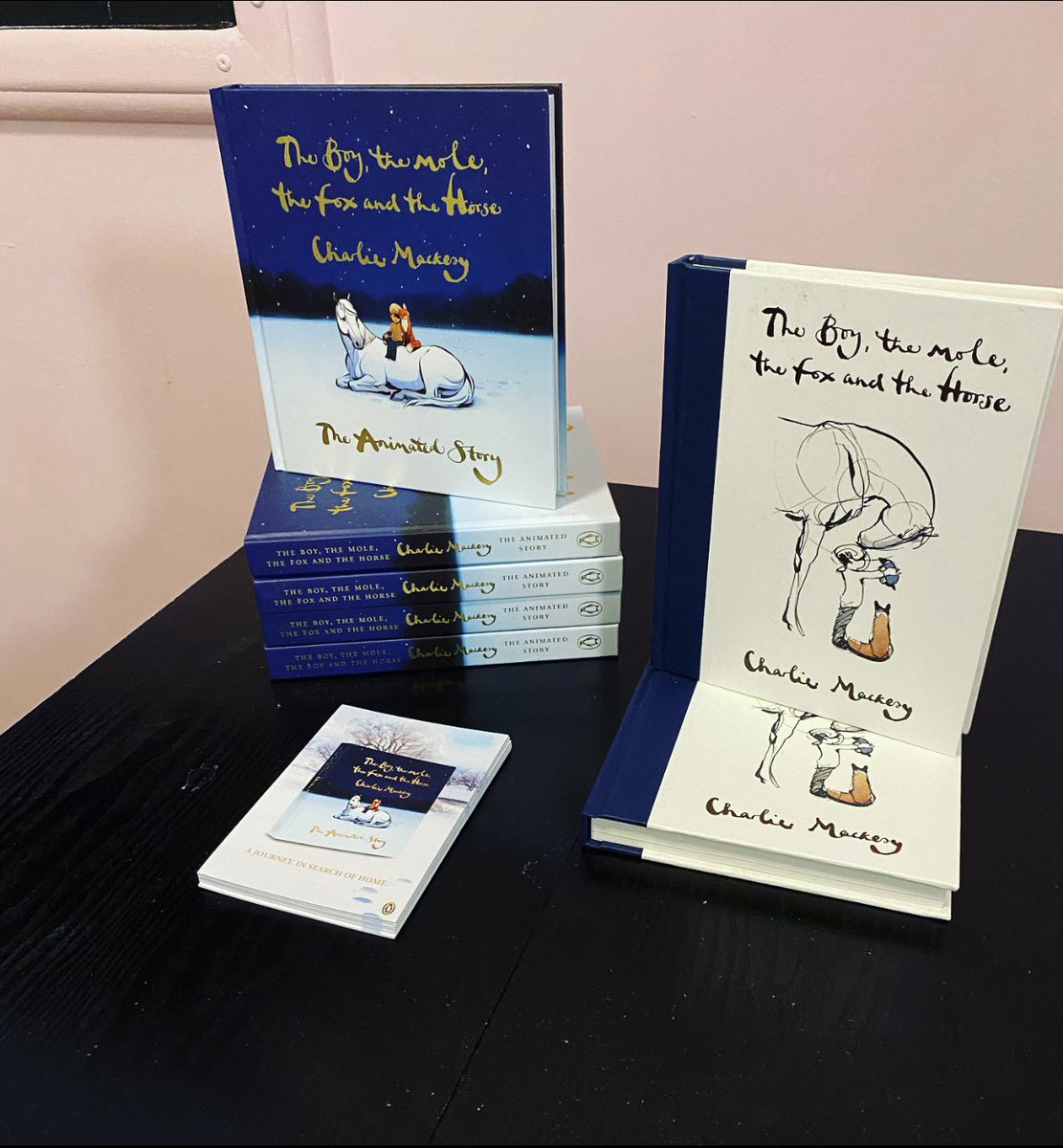 Darwin_Centre's tweet photo. A very welcome donation to the Darwin arrived today, in the past this book has been given as part of discharge packages so to receive some for the unit was very kind and appreciated! https://t.co/gJLSWFqyO2
