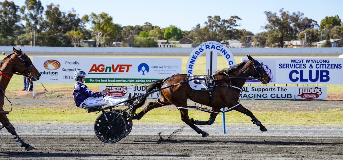 Three Winners at West Wyalong today for team Jones Congratulations <a href="/blakejones351/">Blake Jones</a> <a href="/EllenBartley93/">Ellen Jones</a> <a href="/KyBloomfield/">Ky Bloomfield</a> #riverinaform