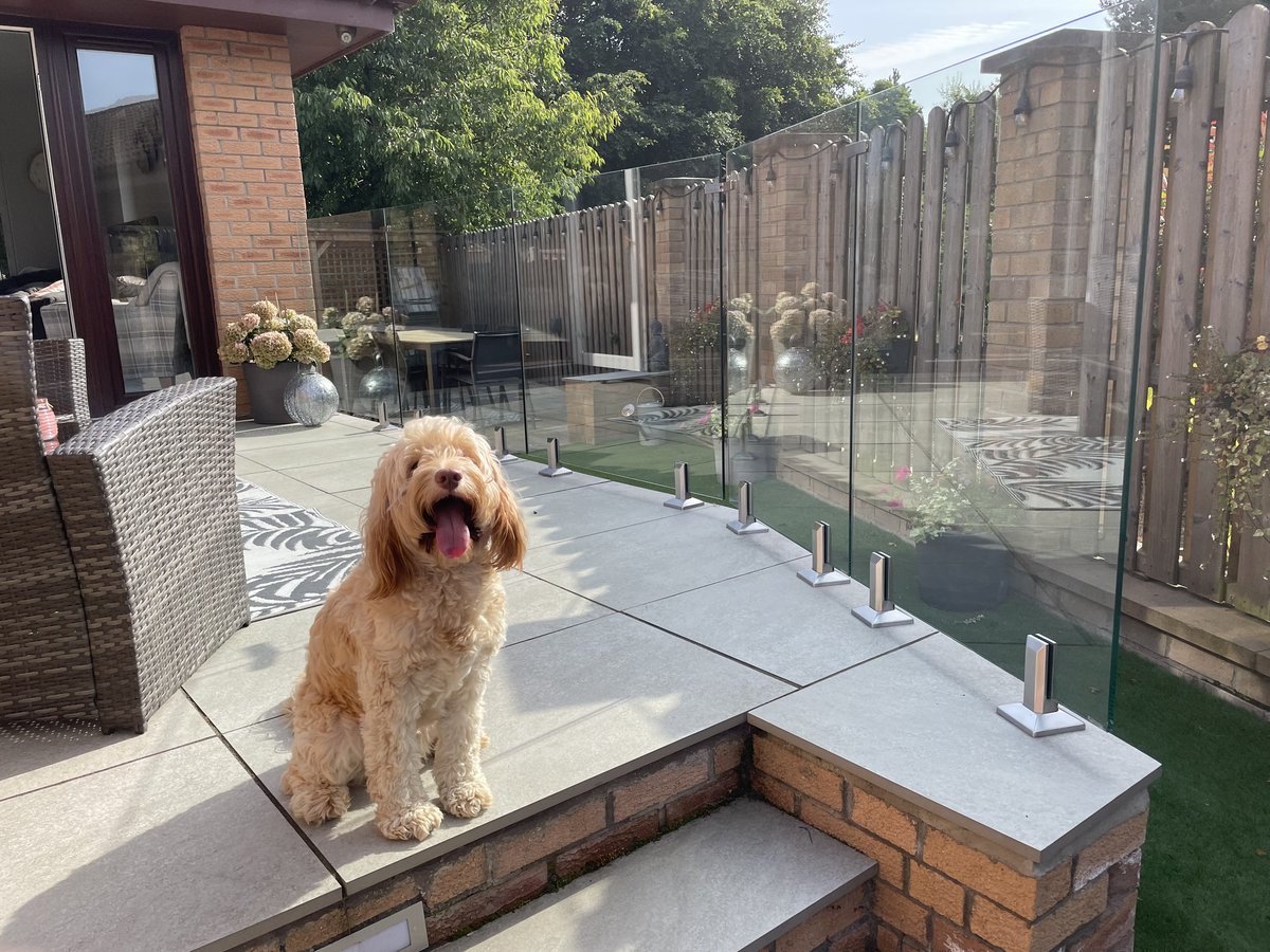 Yes, the frameless glass balustrade and square spigots look amazing, but let’s be honest, we’re all just looking at the cute dog! #dog #dogs #dogslife #balustradesystem #balustrades #balustrade #fhbrundle #fhbrundlefamily