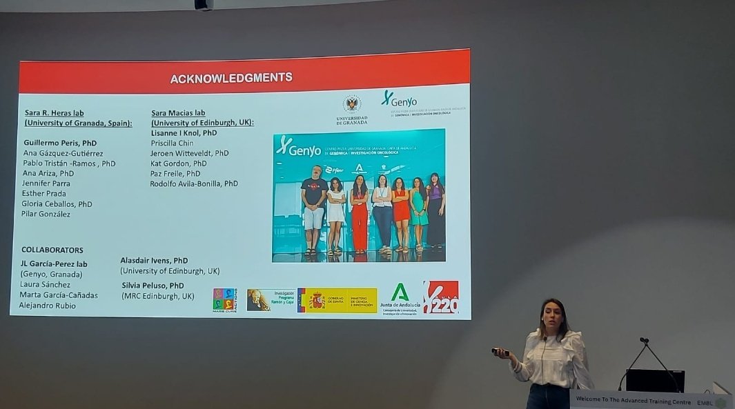 aula22q's tweet photo. Here's our colleague Ana Colomer from @HerasSR lab (@genyo_pts) presenting her talk "Haploinsufficiency of human DGCR8 results in primate specific RNAs dysregulation and pluripotency defects" in #EESNoncoding @EMBLEvents 

Congrats, Ana and Sara! 👏🏽♥️ https://t.co/9XRSNBqB03