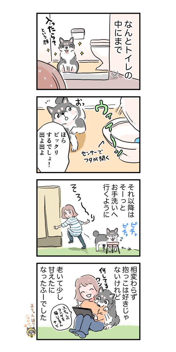 黒柴おじいわん🐶ふーのお話(後編)
とりあえず私が一緒に寝ると、夜鳴きはしなくなりました😊ただ寝付くまでにゴソゴソする時間が長いです
https://t.co/r3RUpIIgP3 
