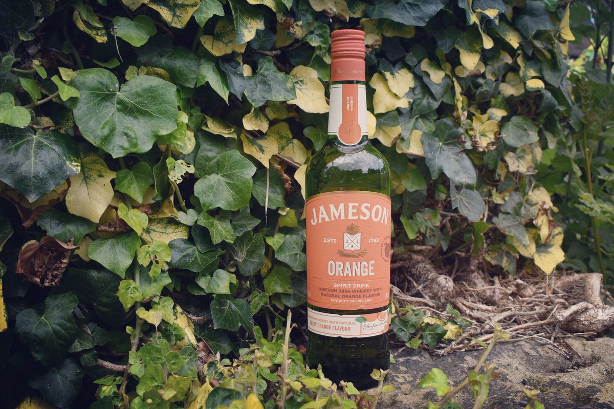 Jameson Orange 🥃 🍊

Available on our website-
dramante.co.uk

#whiskey #jameson #jamesonwhiskey #jamesonorange #whiskeybarrel #whiskeybar #cheers #cocktails #drinks #whiskeylife #whiskeygirl #whiskeygram #whiskeylover #whiskeysour #alcohol #whiskeyporn #whiskeylovers