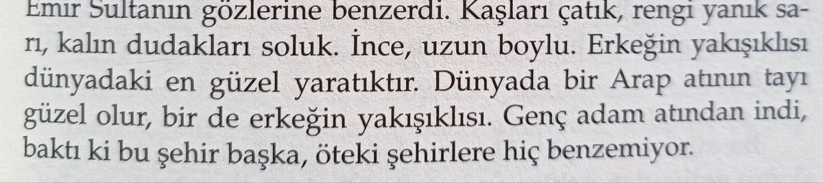 "Erkeğin yakışıklısı dünyadaki en güzel yaratıktır" Yaşar Kemal, Demirciler Çarşısı Cinayeti sayfa 31.