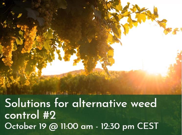 Oper8 project - Discover weed control solutions at our free webinar on Oct 19, 2023, 11:00 am. Hear from experts in Greece, Italy, France, and the UK about the benefits of cover crops. Register now (oper-8.eu/event/solution…) and spread the word! 🌱💚🌍 #Oper8