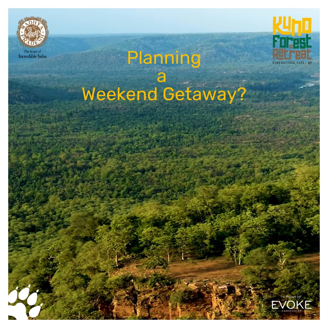 KunoRetreat's tweet photo. The escape place is here for you! Glide through Kuno's pristine wilderness, embark on thrilling ATV rides, and immerse in unparalleled wildlife encounters. Your adventure awaits at #KunoForestRetreat!
#KunoNationalPark #madhyapradeshtourism #cheetah #atvride #greenery #mptourism https://t.co/qKuMz315vV