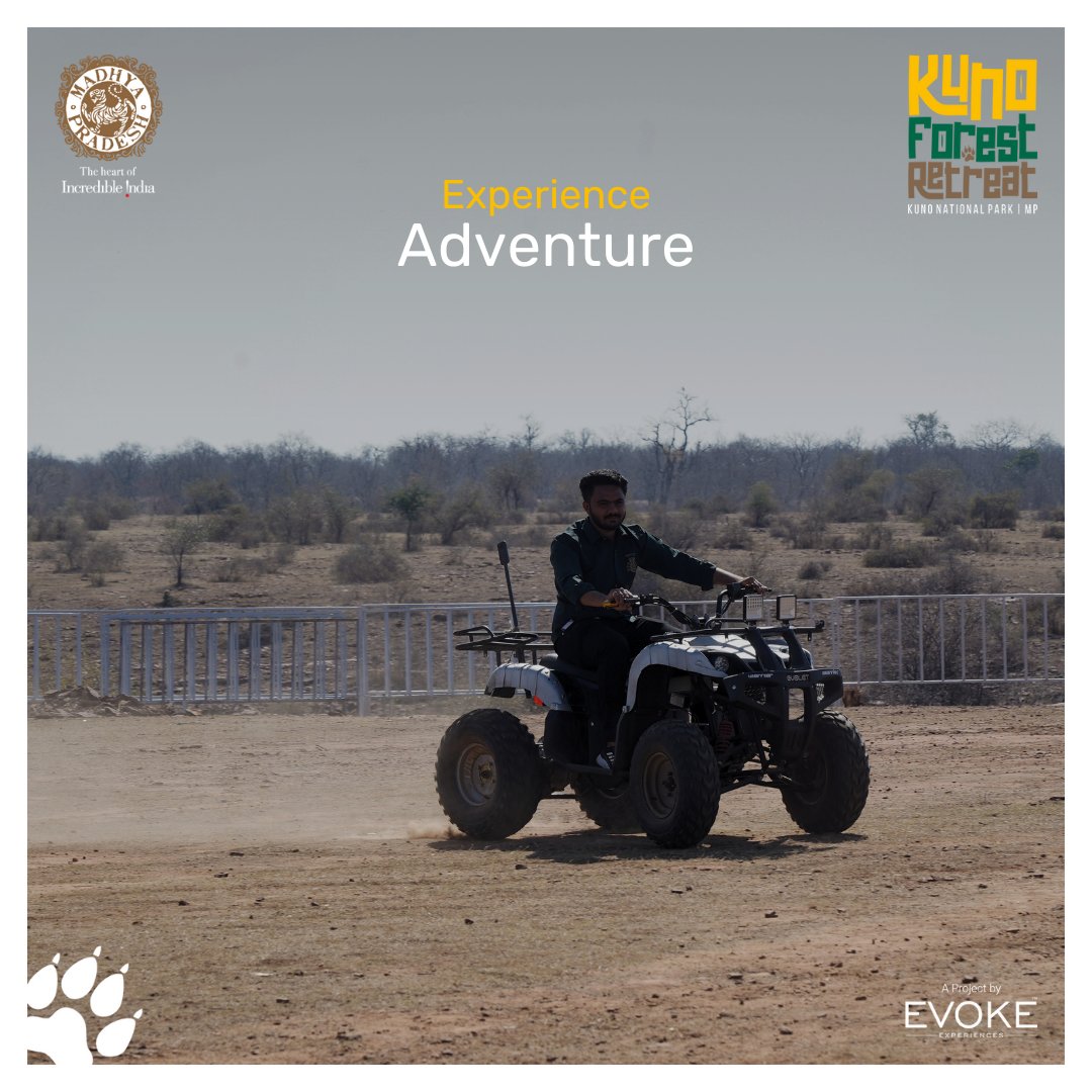 KunoRetreat's tweet photo. The escape place is here for you! Glide through Kuno's pristine wilderness, embark on thrilling ATV rides, and immerse in unparalleled wildlife encounters. Your adventure awaits at #KunoForestRetreat!
#KunoNationalPark #madhyapradeshtourism #cheetah #atvride #greenery #mptourism https://t.co/qKuMz315vV