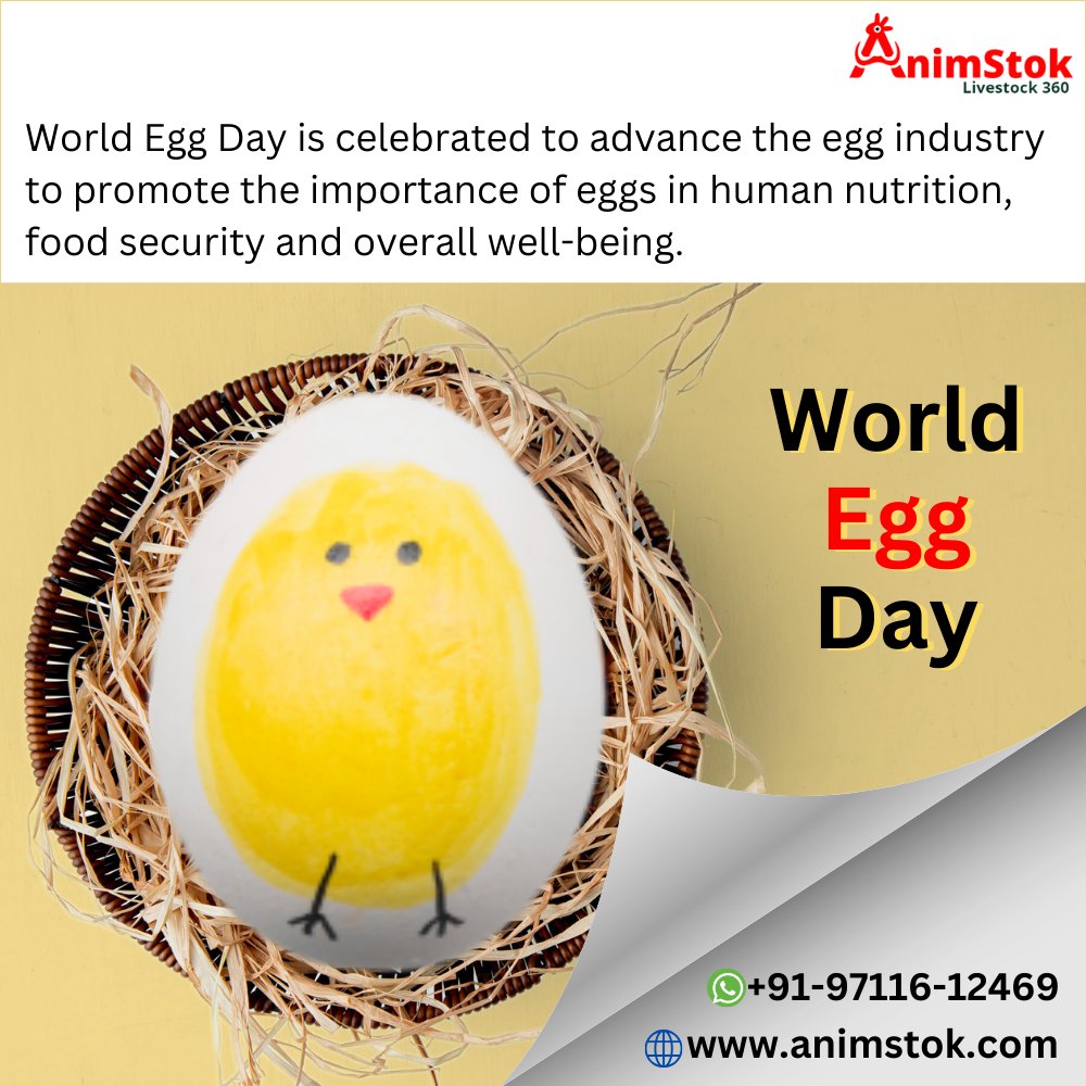 World Egg Day
World Egg Day is celebrated to advance the egg..
Website : animstok.com

#worldeggday #poultry #agro #eggdrop #layercage #egglayers #broilers #broilercage #poultrycage #agricultural #cage #poultryfarmer #birds #layer #farming #backyardpoultry #eggs