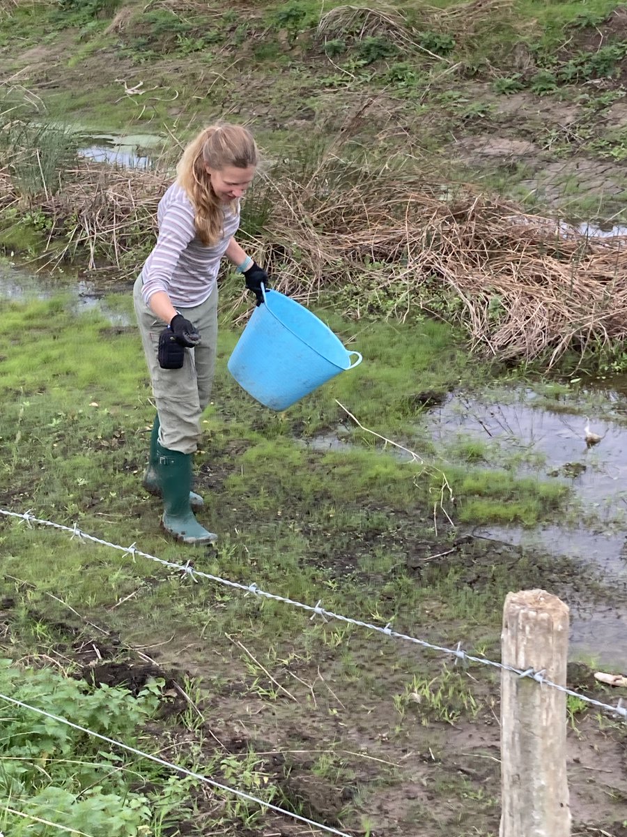 West Country Buzz tweet media