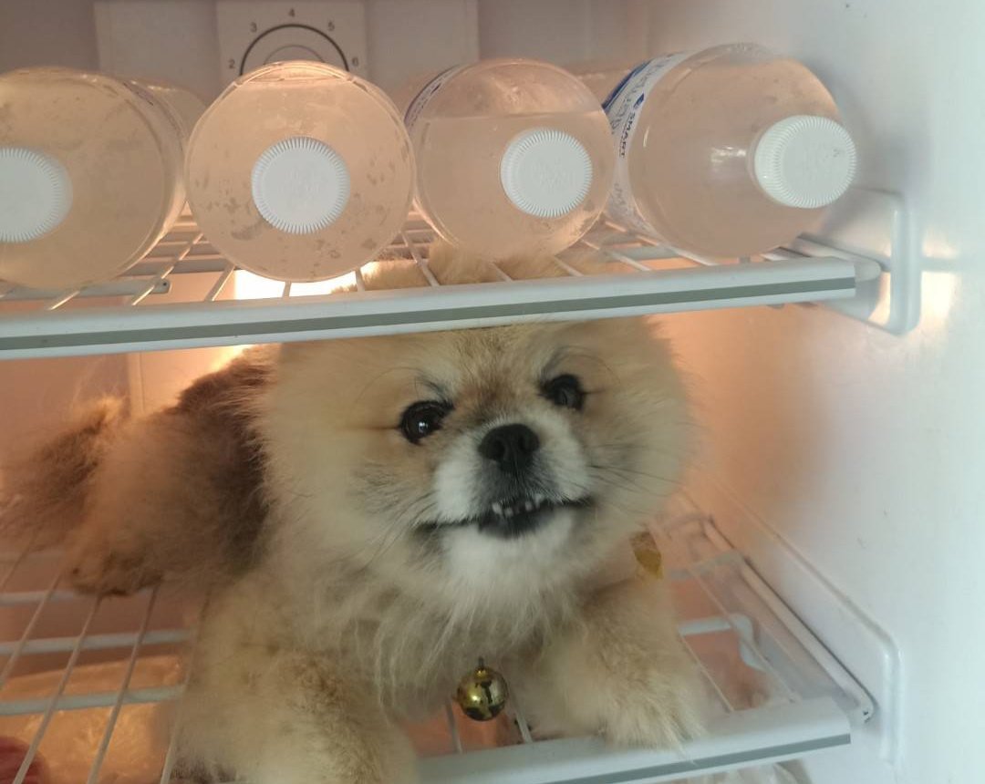 หม๋าตุ้เย้น