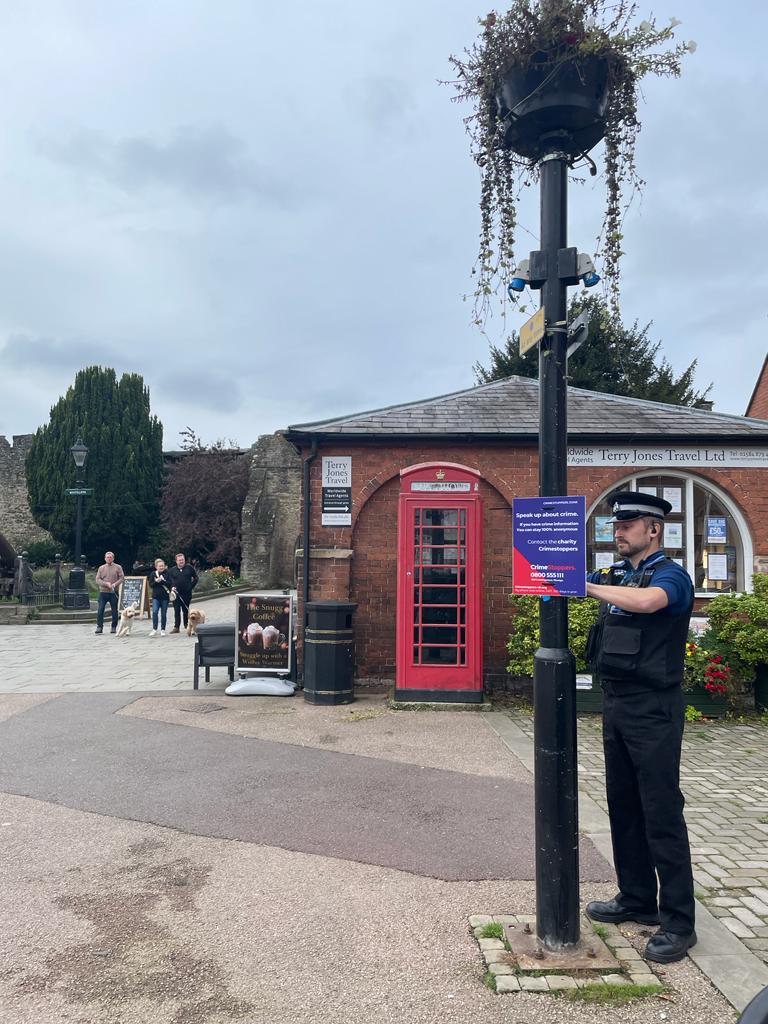 Ludlow SNT tweet media