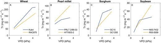 #Review: '#Transpiration response to #soil drying versus increasing vapor pressure deficit in crops: physical and physiological mechanisms and key #plant traits'

bit.ly/46FpLLI

#VPD #crops #hydraulics #stomata #roots

<a href="/KoehlerTina_/">Tina Köhler</a> <a href="/rhizotraits/">RhizoTraits_Bonares</a> <a href="/usys_ethzh/">D-USYS@ETH</a> @bay_ceer