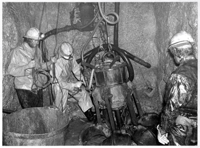 The Morrab Library tweet media