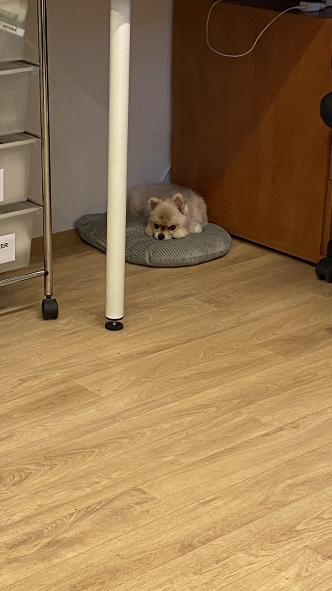 Заебался работать