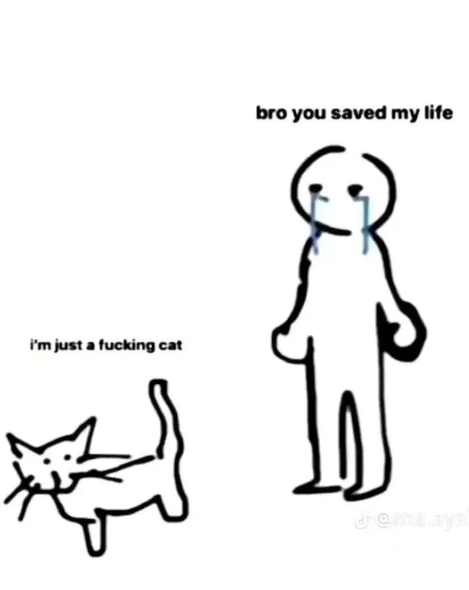 Why you should have a cat (@shouldhavecat) on Twitter photo 