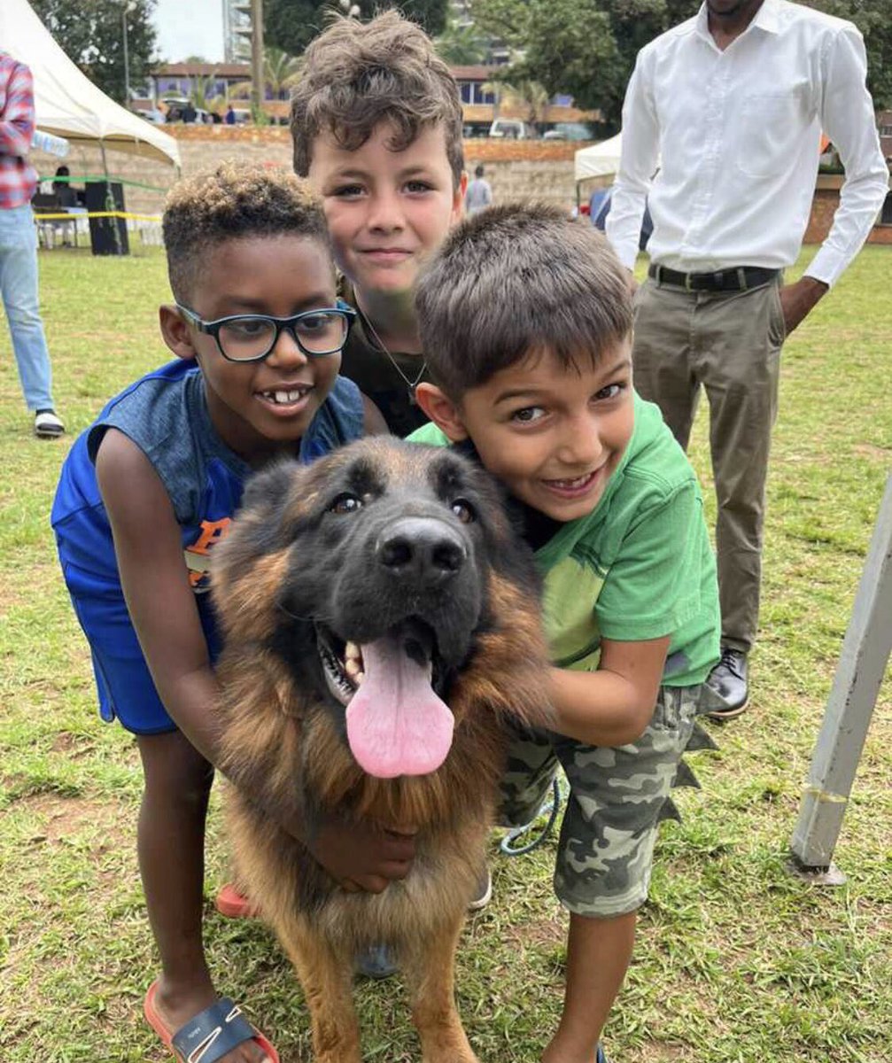 CanineAUganda's tweet image. Weekends are a reminder to enjoy the simple things in life, just like our dogs do.🐾🐶🐾 Their wagging tails, unconditional love, and joyful spirit teach us the true meaning of happiness. Embrace the weekend with the enthusiasm of a dog!🐾
#caudogs
#weekendpups 
#pedigreedogs