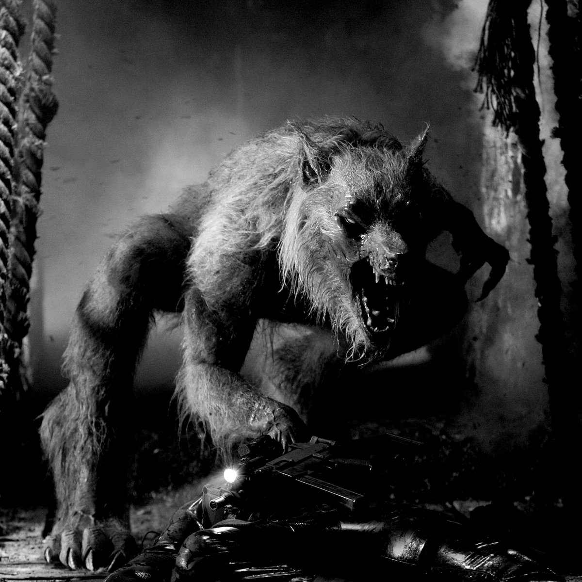 𝖙𝖍𝖊 𝖉𝖆𝖗𝖐𝖊𝖘𝖙. tweet media