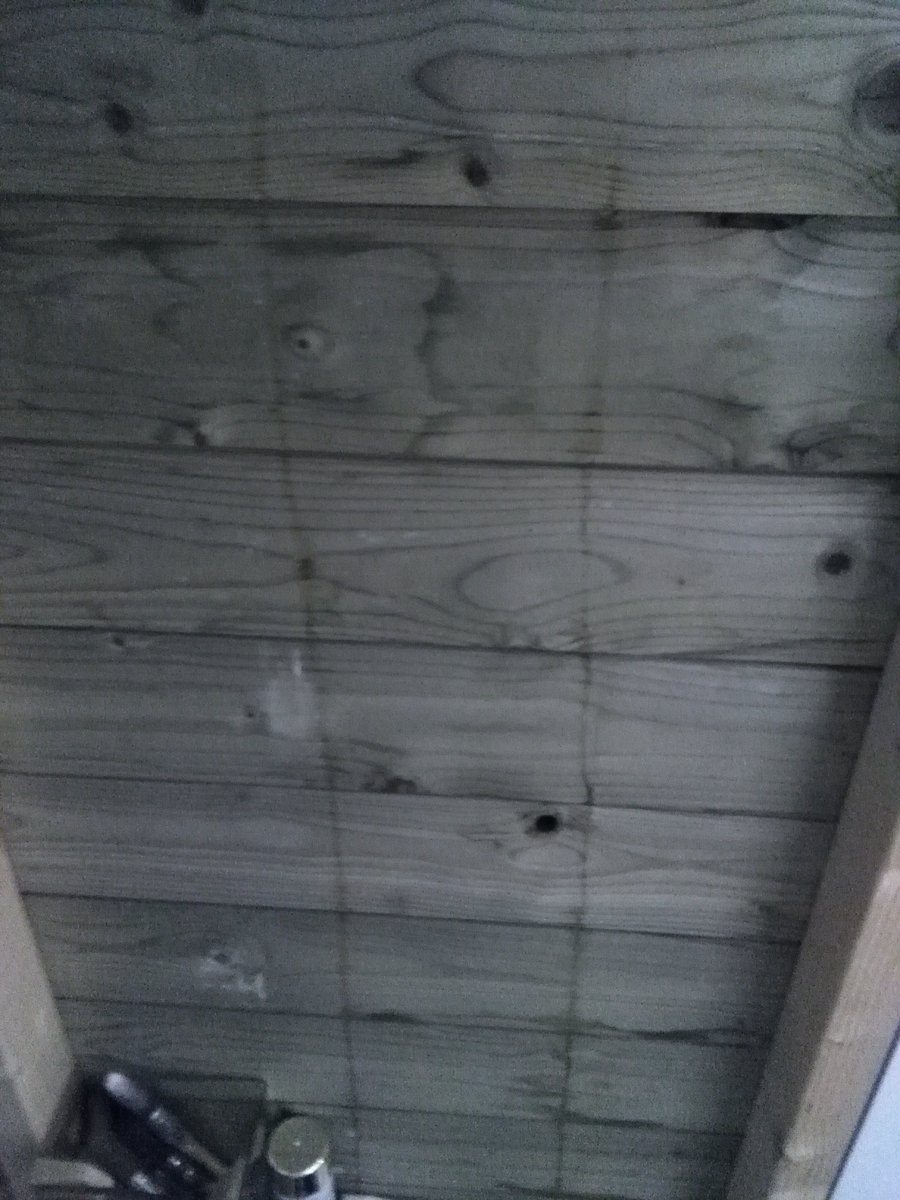 Illustra tweet media