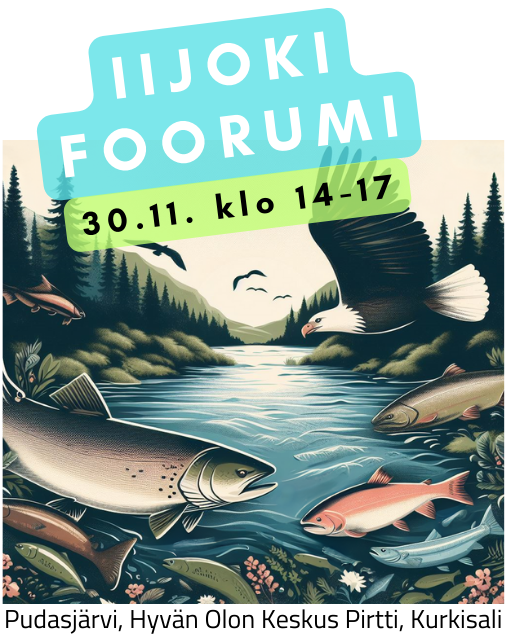IijokiS's tweet photo. Mistä kaikki alkoi, mitä on saatu aikaan ja mihin ollaan menossa Iijoen vesistön kokonaisvaltaisessa kehittämisessä? Tule kuulemaan ja keskustelemaan Pudasjärvelle 30.11. klo 14-17. https://t.co/VjfFb3P26R