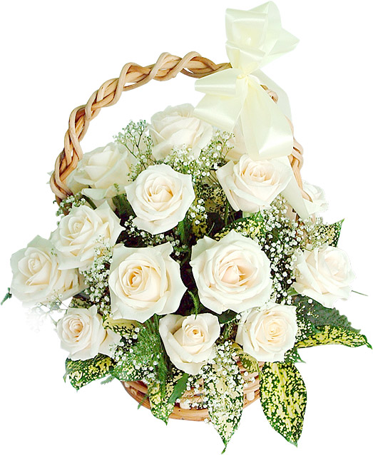 countryflora's tweet image. 🌸🍰 Want to send flowers to India? 🇮🇳 Look no further! CountryFlora  makes it easy. From same-day bouquets to midnight cake surprises, we've  got it all covered. Brighten up someone's day with us! 🌼🌙  #FlowerDelivery #CakeDelivery #SendFlowersToIndia #CountryFlora