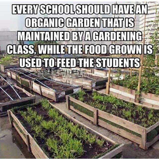 SHARE if you agree