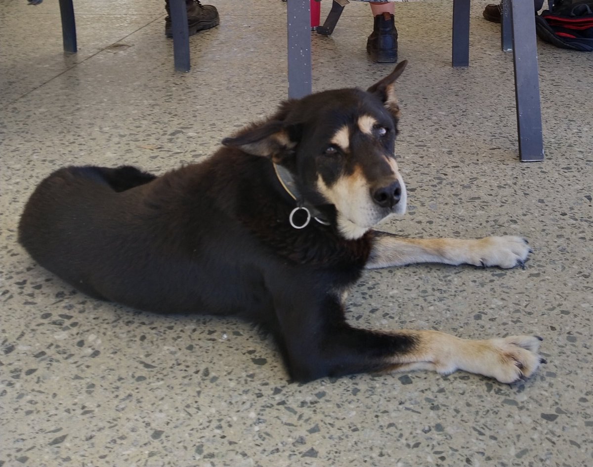 Mick Davis tweet media