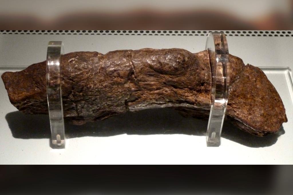 'This is the largest fossilized human turd ever found. It belonged to a sick Viking in the 9th Century AD, and has been valued at $39,000'.

The large, “precious” Poop, officially known as the Lloyds Bank Coprolite,
the word “Coprolite” simply meaning fossilized dung. This 1200