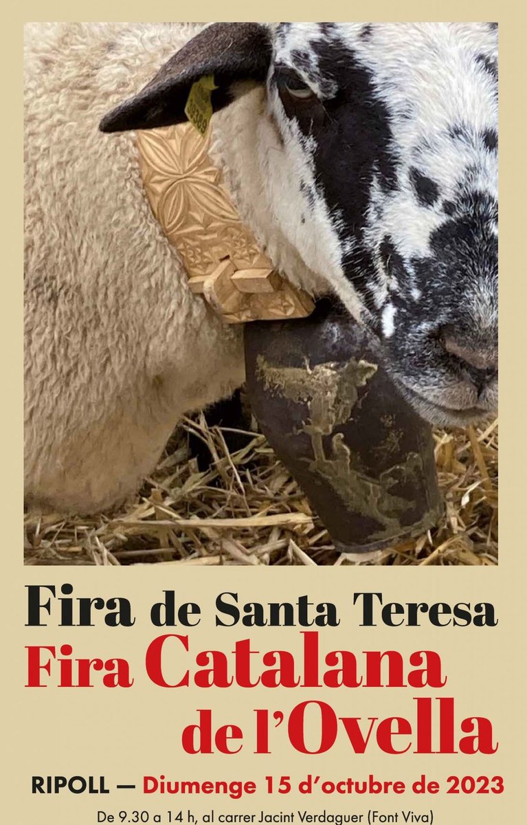 caledelspagesos's tweet photo. 15 octubre: Fira de Santa Teresa i Fira Catalana de l'Ovella, a Ripoll.

Des del 1843, aquesta fira apropa al visitant l'activitat agrícola i ramadera de la localitat, especialment el bestiar de la raça ovina ripollesa. No hi pot faltar el concurs de bestiar. https://t.co/294STyFJwn