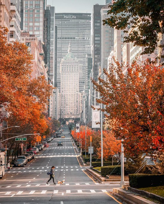 TemperatureWind's tweet photo. New York street view https://t.co/xxQoKoJQF1