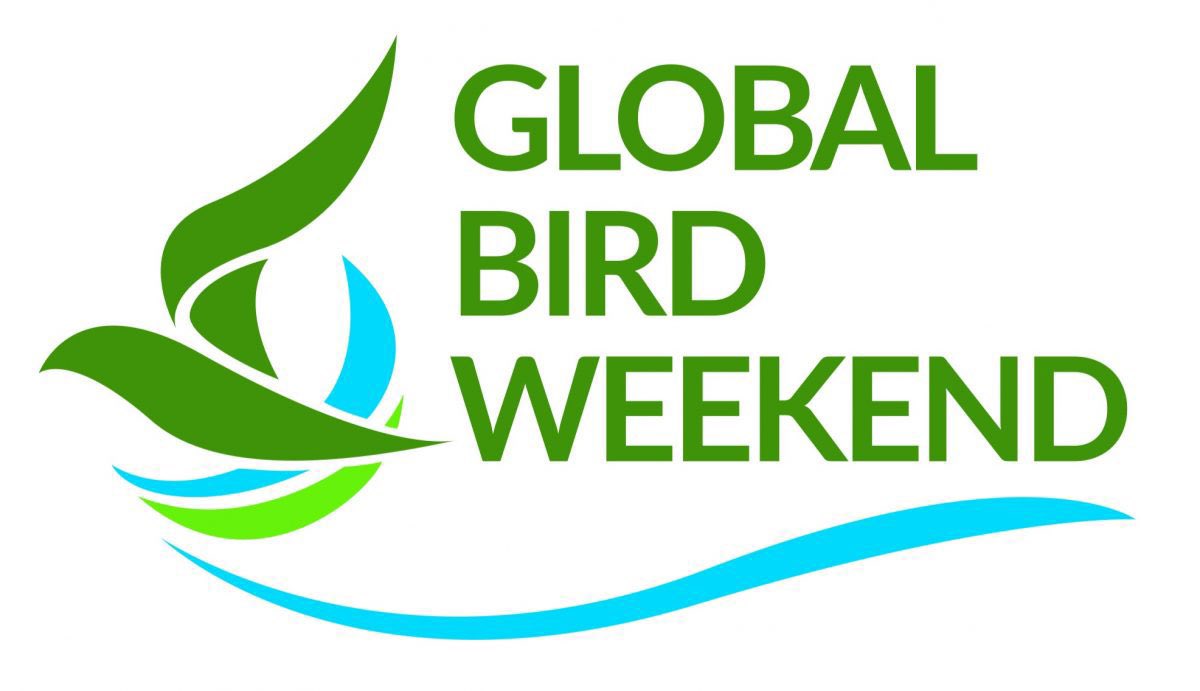 EdinBirdwatcher's tweet photo. Good luck everyone taking part in Global Bird Weekend @global_birding #GlobalBirdWeekend https://t.co/9HBJ6hnXdh