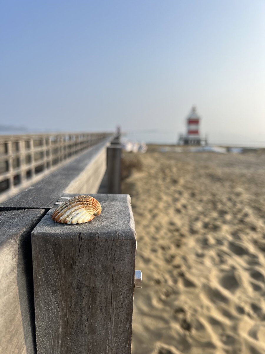 LignanoJournal's tweet photo. Guten Morgen an alle 🔆😎🩵
#lignano #italien #fvglive #italia #lignanosabbiadoro #muschel #strand #meer https://t.co/fVoOVWMpI2