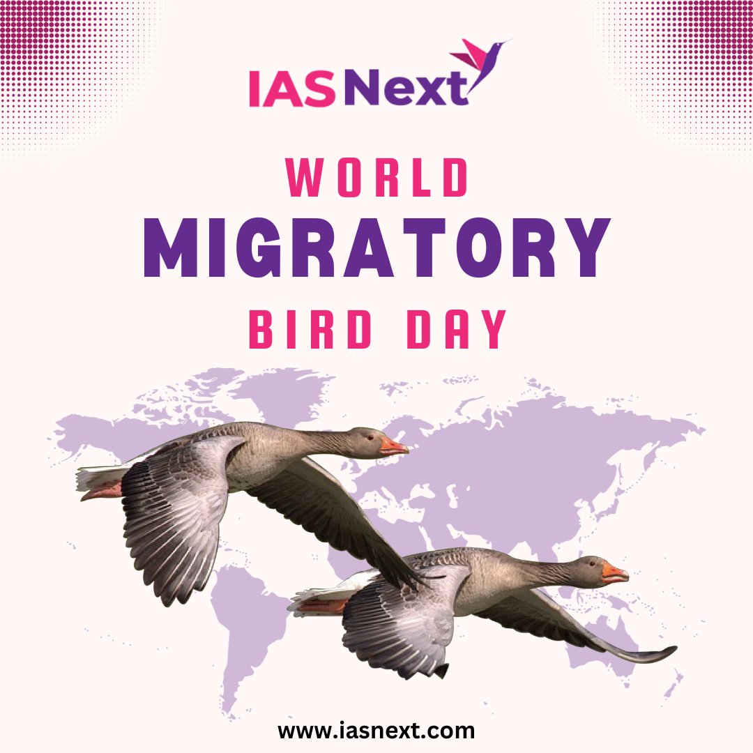 IASNEXT3's tweet image. 🐦🌍 Celebrate #WorldMigratoryBirdDay! 🌍🐦

World Migratory Bird Day (WMBD) is an annual global event dedicated to raising awareness about the importance of migratory birds and their conservation. 

#UPSC #BirdsMatter #conservation #naturelovers #EmraanHashmi