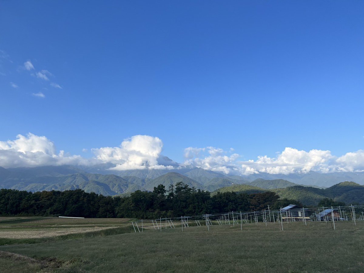Scoop_Field's tweet photo. 最高の天気です☀️
今日も楽しんでいきましょう🧑🏻‍🌾✨ https://t.co/GOWcK3pDvv
