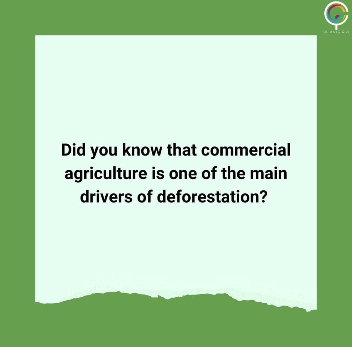 Commercial agriculture fuels deforestation! 🌳🚜 Demand for palm oil, soy, and beef drives forest loss. Choose sustainability! #DeforestationCause #SustainableAgriculture #climategirlnft #ravenspirit #peakpeekstore #tagethernet