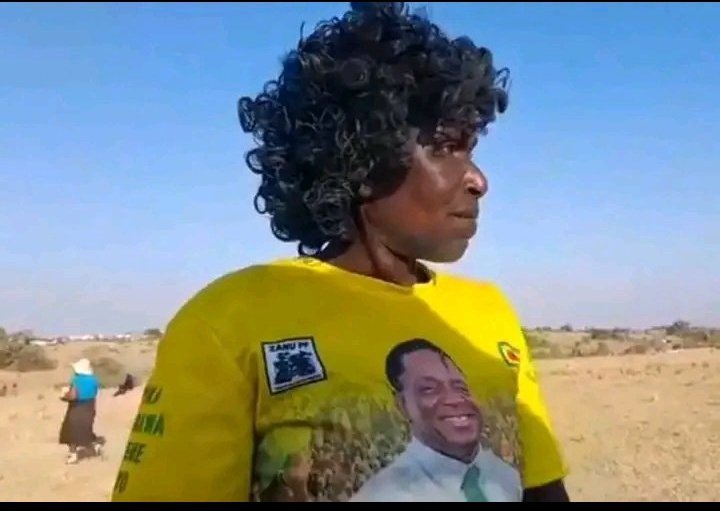 🇿🇼Ambassador for change🇿🇼 tweet media