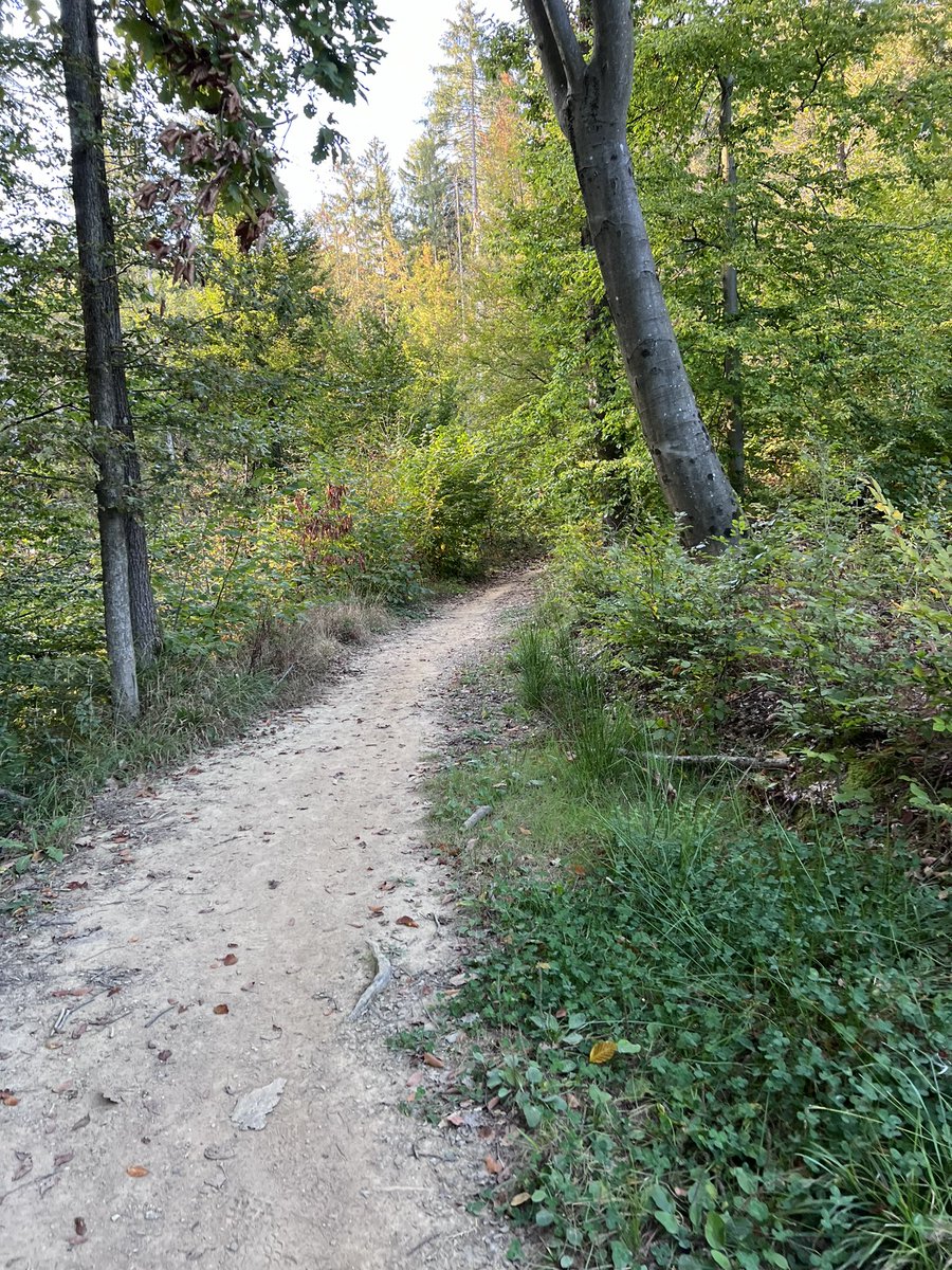 an_april04 tweet media