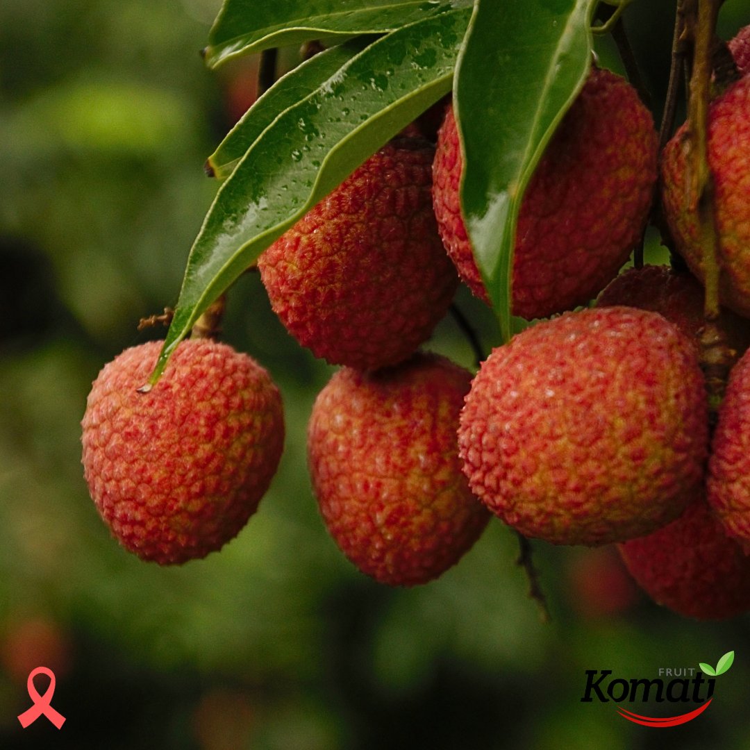 𝐅𝐫𝐢𝐝𝐚𝐲 𝐟𝐚𝐜𝐭𝐬 𝐟𝐨𝐫 𝐁𝐫𝐞𝐚𝐬𝐭 𝐂𝐚𝐧𝐜𝐞𝐫 𝐀𝐰𝐚𝐫𝐞𝐧𝐞𝐬𝐬 𝐌𝐨𝐧𝐭𝐡.
In the flesh of the lychee fruit also provides a large amount of flavonoid compounds and other antioxidants. Research shows @vinmec.
#komatifruit #lycheeseason #litchi #breastcancerawareness