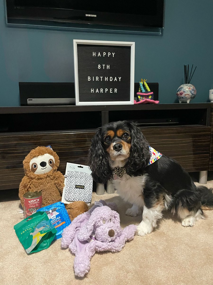 Toby & Harper tweet media