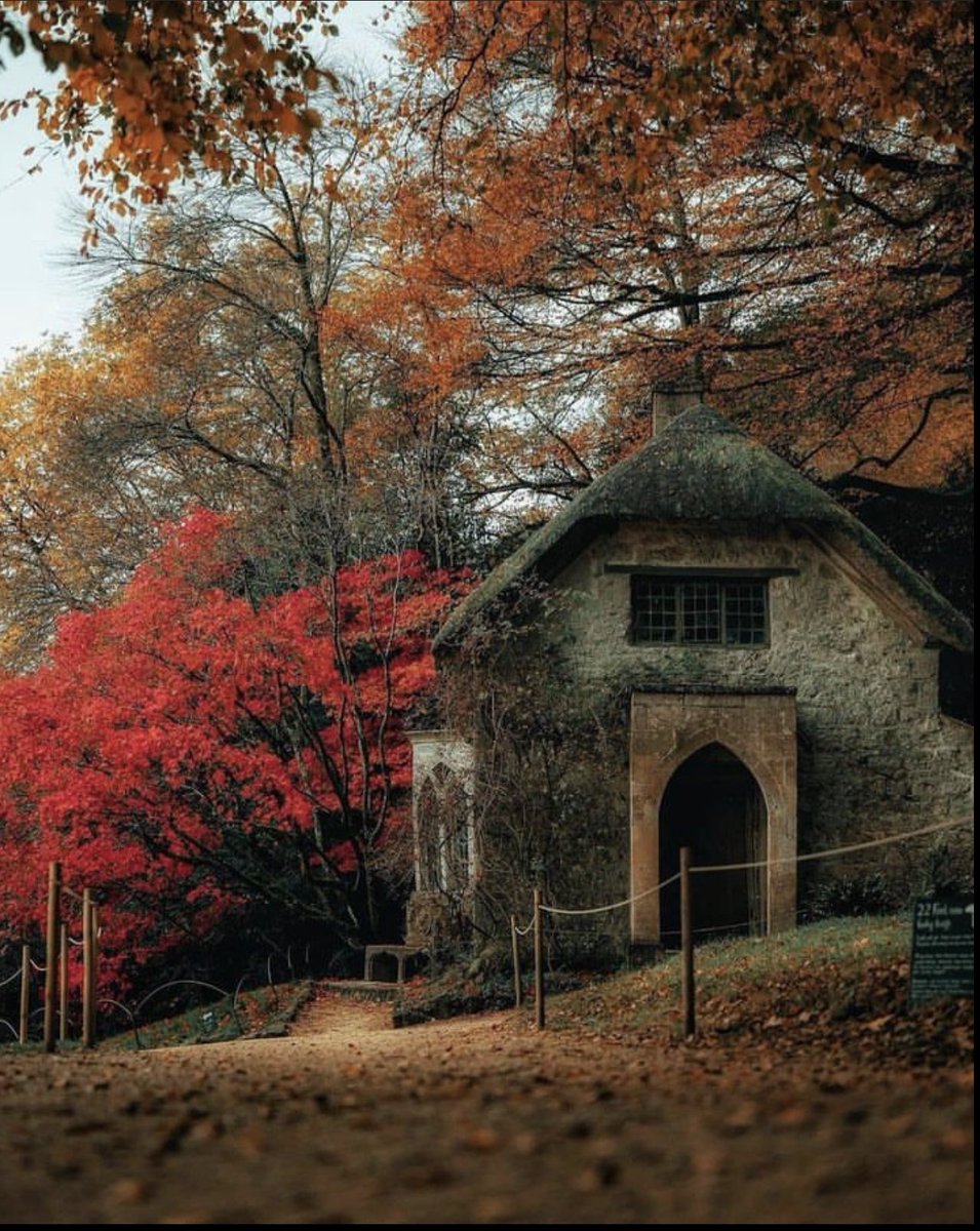 ValentyneDreams's tweet photo. A perfect spot for wandering.

Stourhead, Wiltshire https://t.co/PCzDG6TTmd