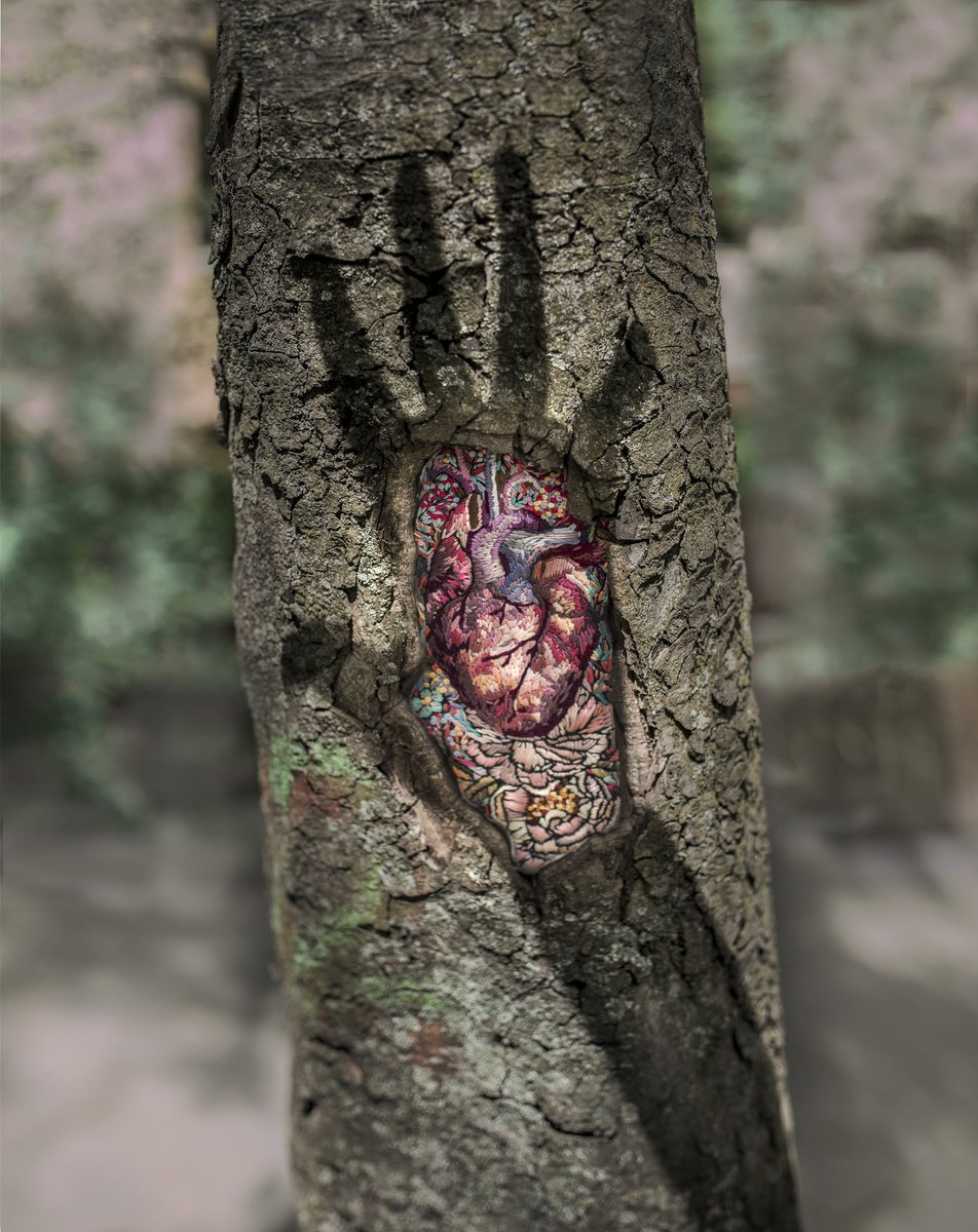 #WOMENSART tweet media