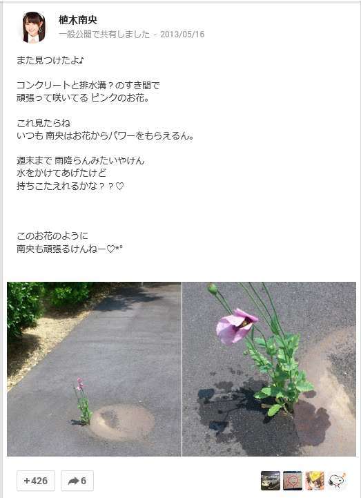 Taro015bt1's tweet photo. อุเอกิ hkt48 เห็นดอกไม้ข้างทางสวยดีเลยรดน้ำ + ถ่ายรูปอวดแฟนคลับ สรุปโดนตำรวจเรียกไปสอบสวนเพราะนั่นมันดอกฝิ่นจ้าาาาาา วงวารน้อนนนน https://t.co/wrJBpg9KYL