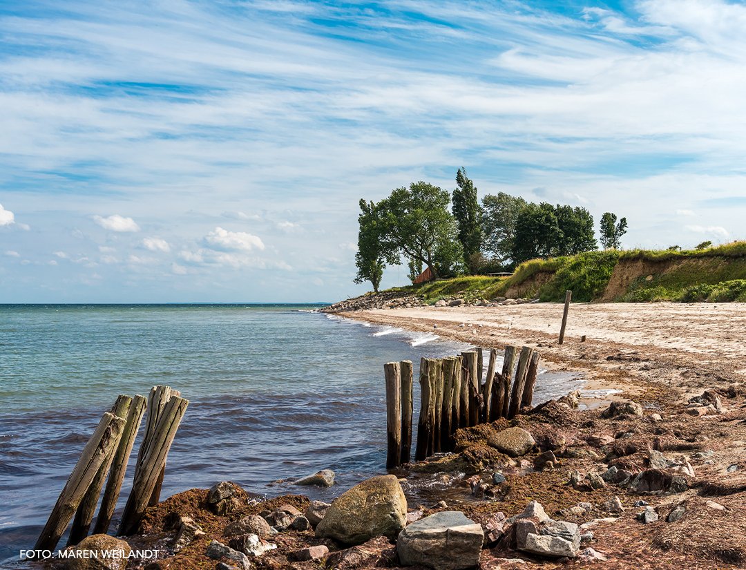 wildganz_com's tweet photo. Ganz wild auf #dahme
Das #Ostseebad #Dahme – Euer #Urlaubszuhause für echte #Meerholung!
Direkt an der #Lübecker #Bucht gelegen, bietet das #Ostseebad #Dahme mit seiner #Vielseitigkeit das perfekte #Urlaubszuhause.

https://t.co/n6snXVftVW https://t.co/oWdD2Od1sK
