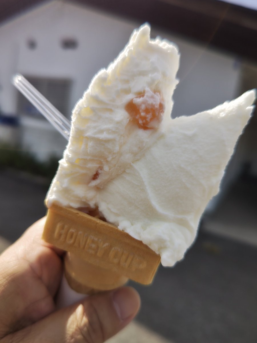 G5AVKnnq2Fey40X's tweet photo. 小布施のジェラート(^o^)
私のお気に入り
#TWELL https://t.co/ZjqCNGNW9q