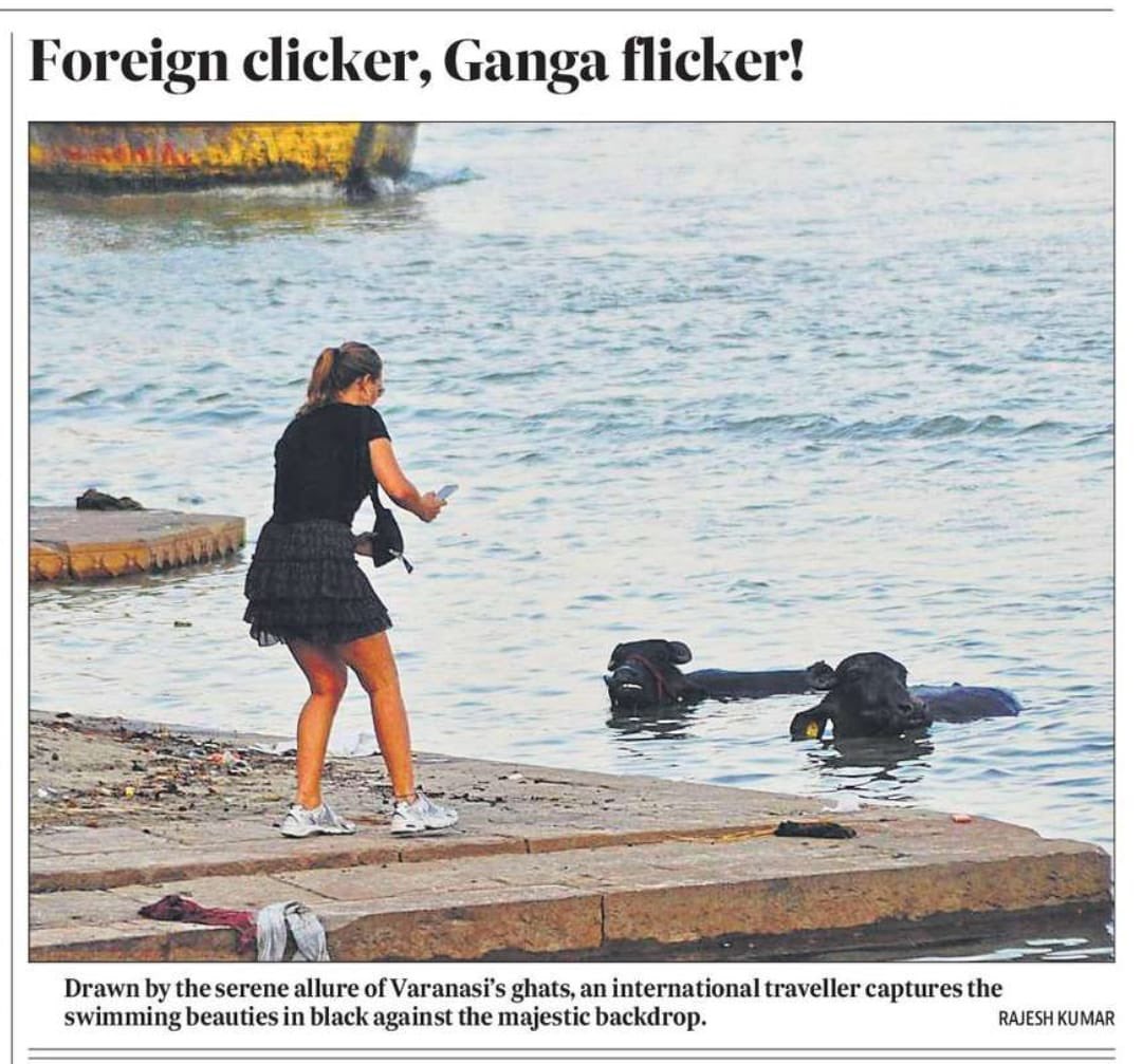 वाराणसी के विदेशी पर्यटक गंगा नदी के ये विचित्र दृश्य देखकर पूछ रहे हैं : अब क्या सांडों से प्रेरित ‘चौपाया सफ़ारी’ का विस्तार भूमि से जल तक हो गया है? 

एक प्रश्न और भी है:

भाजपाइयों से पूछे काशी-बनारस
मैं क्योटो क्यों नहीं बना अभी तक