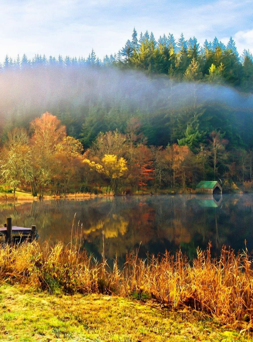 LoveSongs4Peace's tweet photo. " Scenic misty autumn morning " https://t.co/SeJ2uYJt63