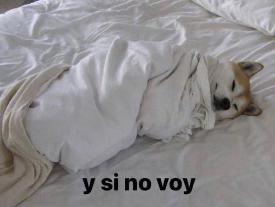 *cae una mínima gota de lluvia*

yo: