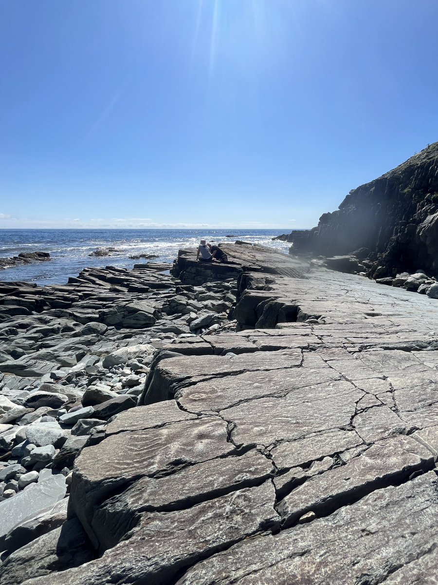 Emily G Mitchell tweet media